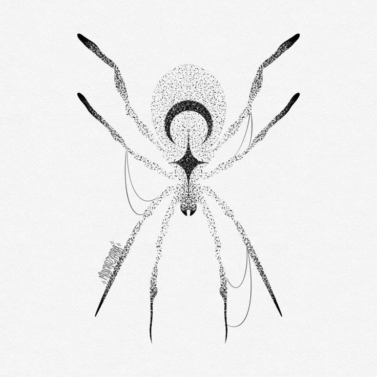 a spider is shown in black and white