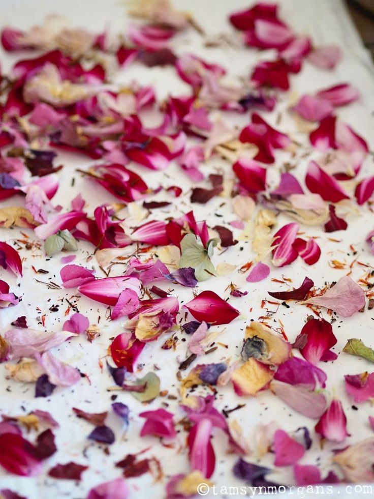 rose petals scattered on top of a table