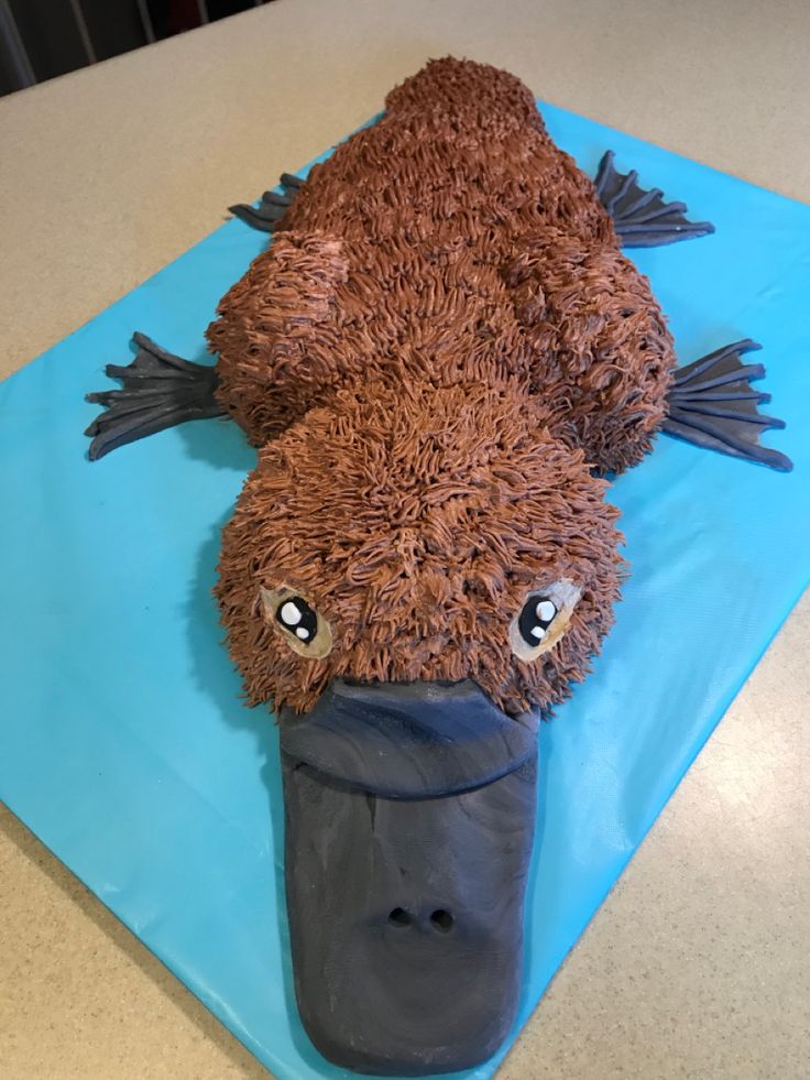 a cake made to look like a fish on top of a blue sheet with brown icing