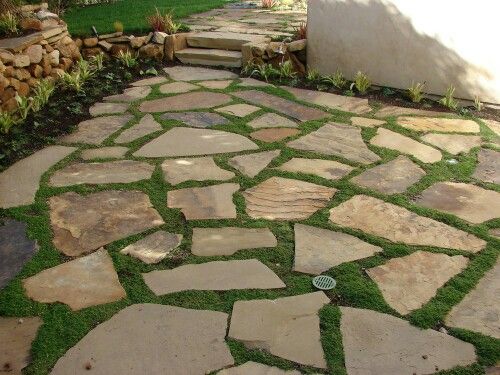 a stone walkway with grass growing on it