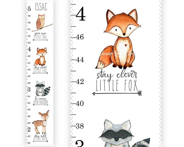 a growth chart with foxes and raccoons on it, next to a ruler