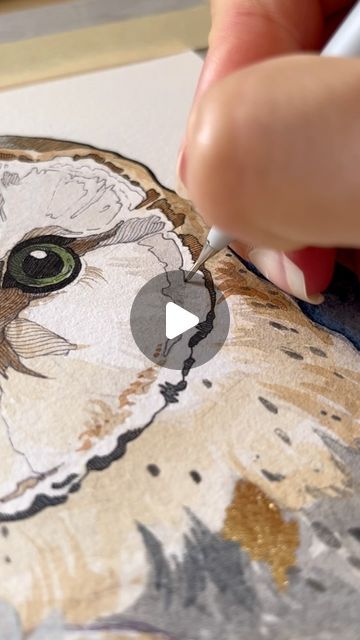 a person is drawing an owl on a piece of paper