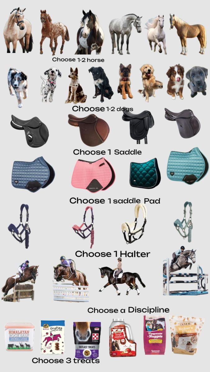 the different types of horses are shown in this poster