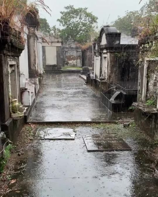 an old cemetery in the rain with lots of tombstones