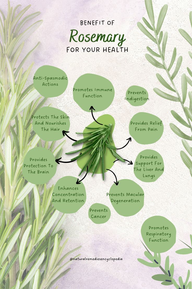 Rosemary Benefits, Medicinal Herbs Garden, Medical Herbs, Health And Fitness Magazine, Herbal Healing, Herbal Magic, Herbs For Health, Daily Health Tips, Oral Health Care