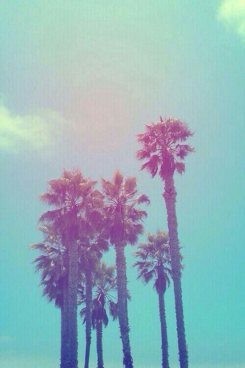 three palm trees on the beach under a blue sky