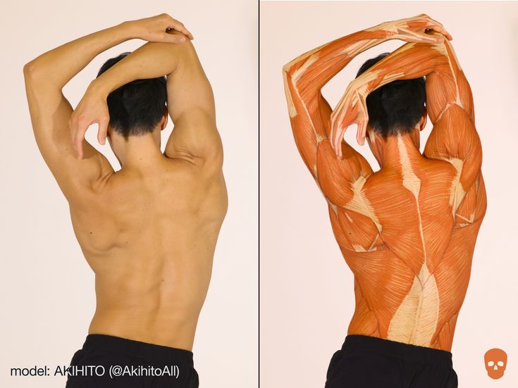 the back and side view of a man with his muscles showing, from top to bottom