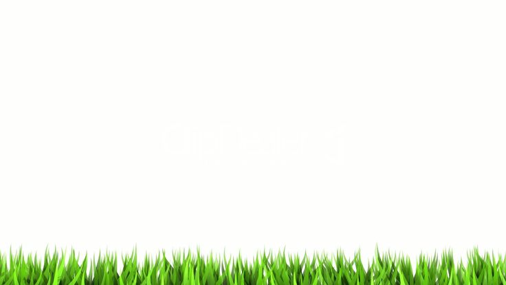 green grass with white background and space for text