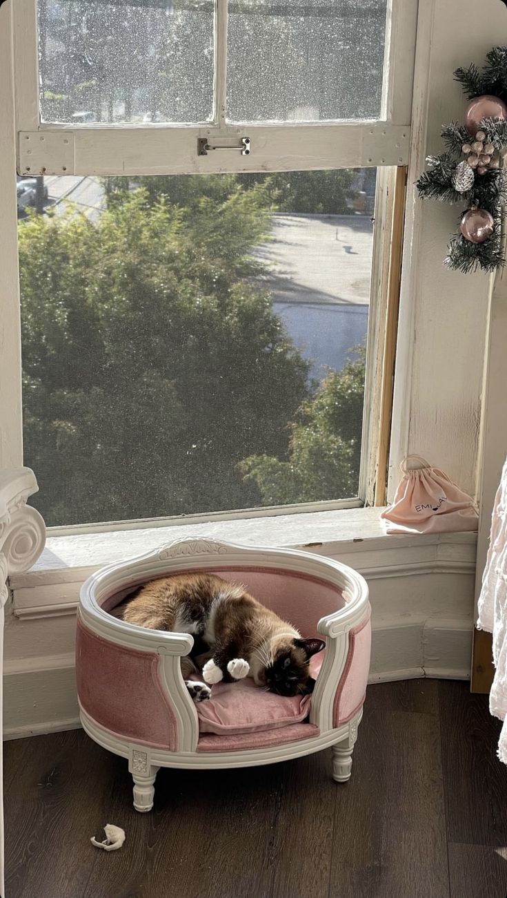 a cat sleeping in a pink pet bed next to a window