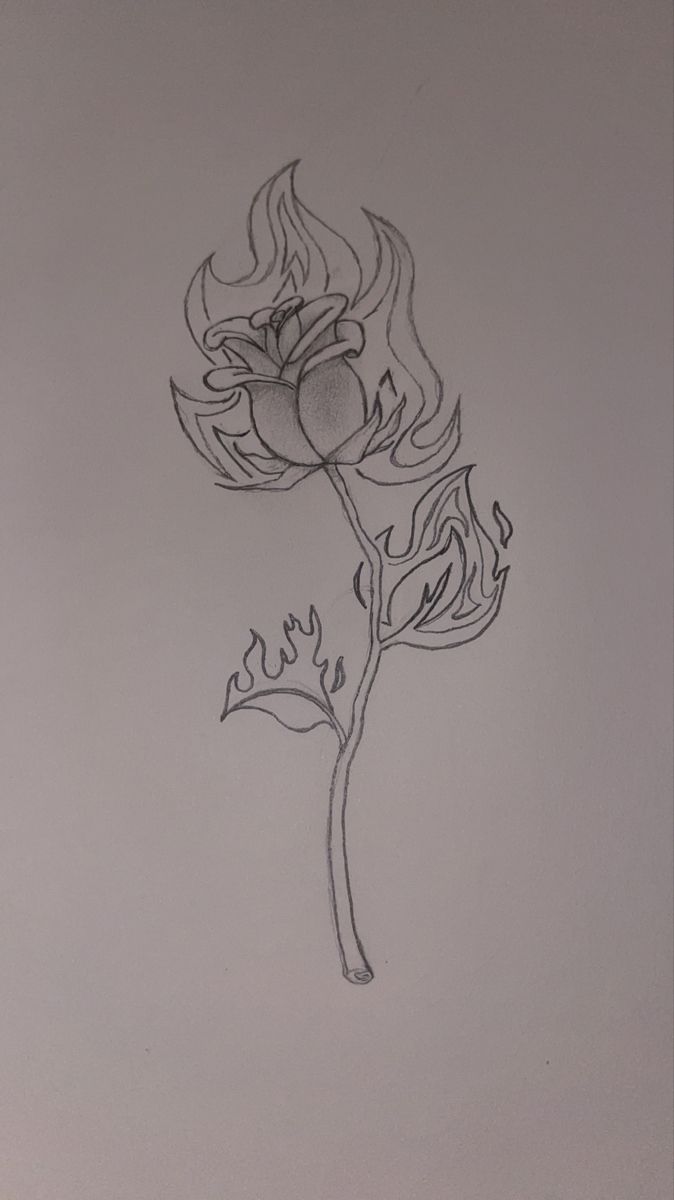 a drawing of a flower with flames coming out of it