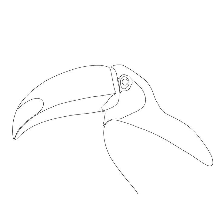 a black and white drawing of a toucan