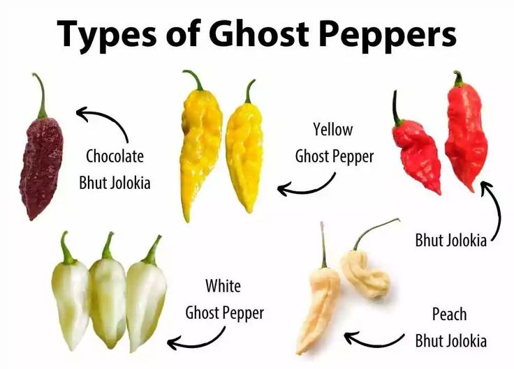 different types of ghost peppers are shown in this image, with the names below them