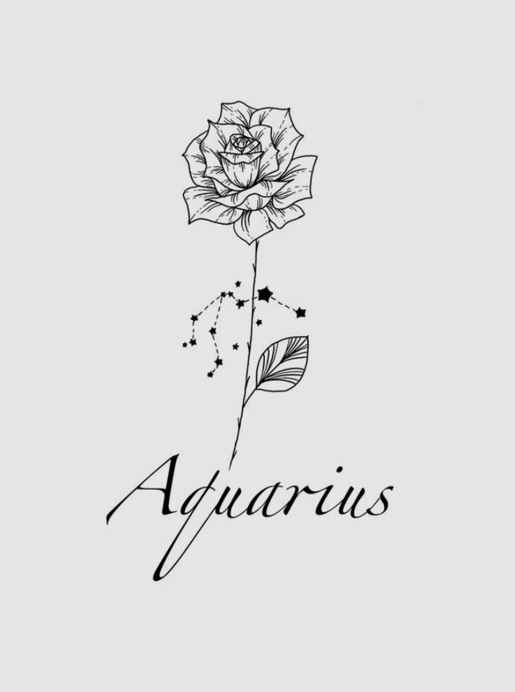 a black and white drawing of a rose with the word aquarius written below it