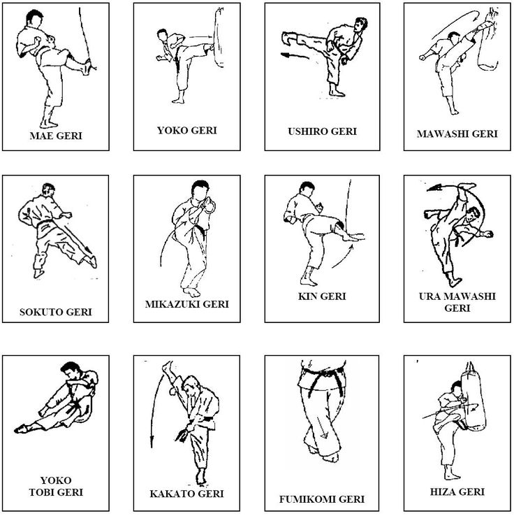 an instruction manual for karate moves