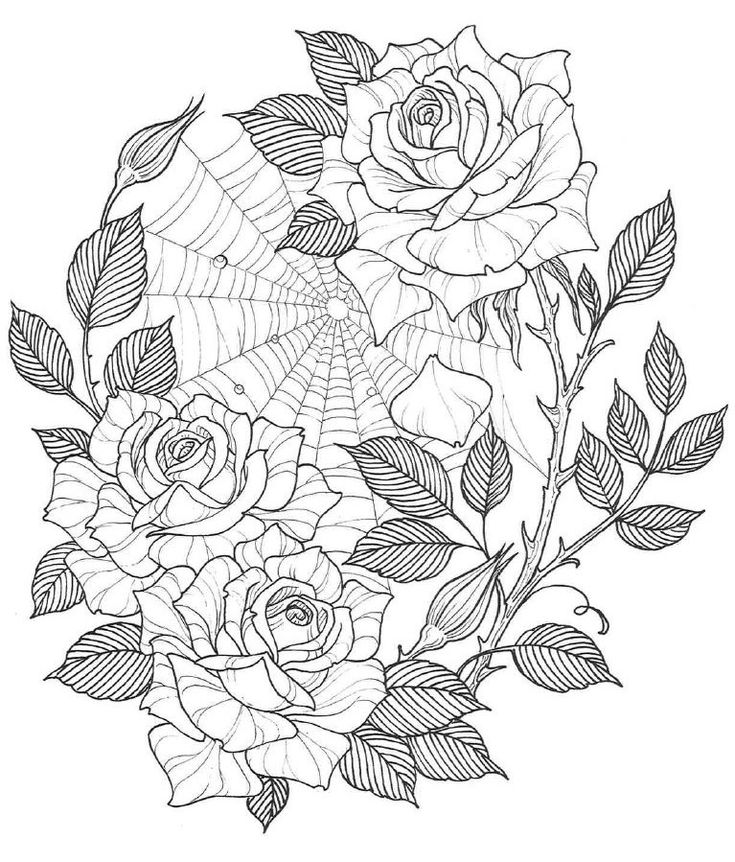 a bouquet of roses with leaves and spider web