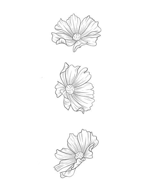 three flowers are shown in black and white, with one flower on the left side