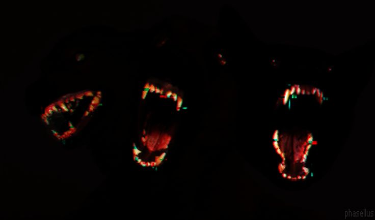 two black bears with their mouths open in the dark, showing teeth and glowing lights