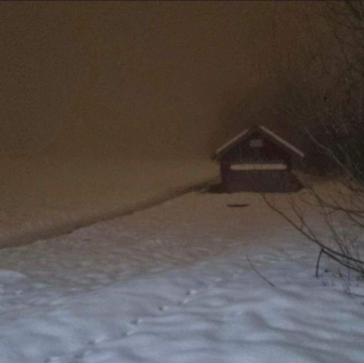 a dog house in the snow at night