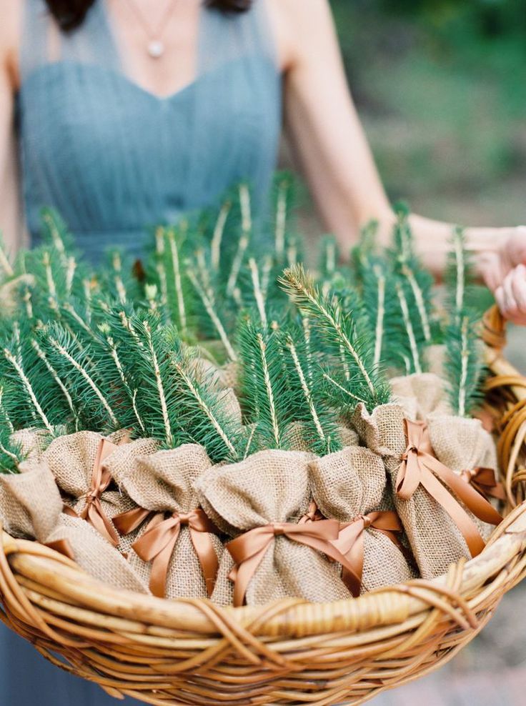 55 Creative Wedding Favors That Will Delight Your Guests Plant Party Favors, Tree Wedding Favors, Plant Wedding Favors, Evergreen Wedding, Creative Wedding Favors, Inexpensive Wedding Favors, Winter Wedding Favors, Edible Favors, Edible Wedding Favors