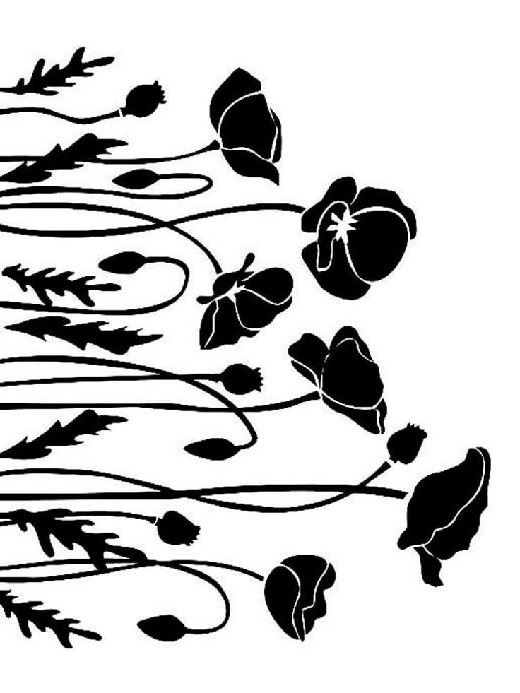 an image of flowers that are black and white on a white background with long stems