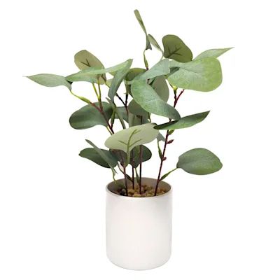 a potted plant with green leaves in it