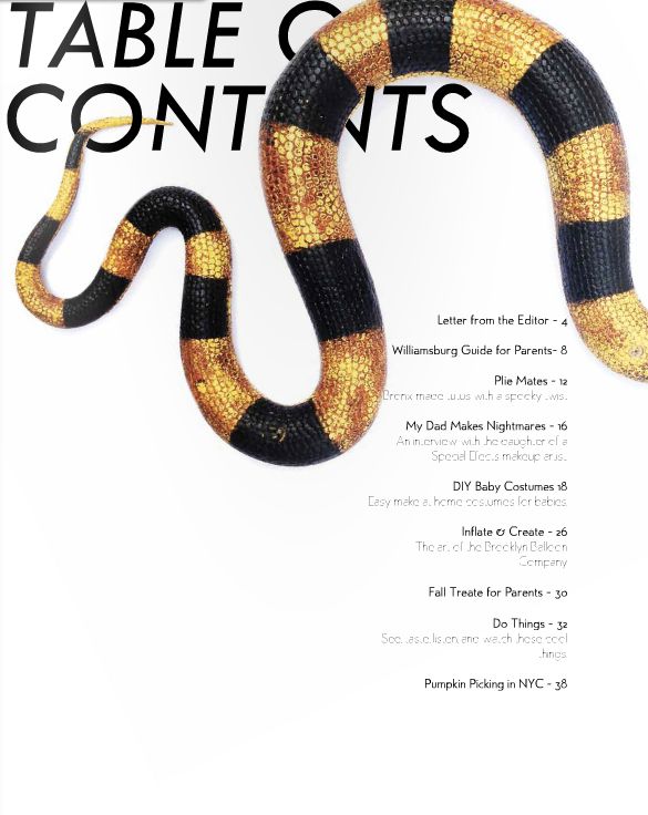 a snake is shown on the cover of a magazine with black and yellow stripes around it