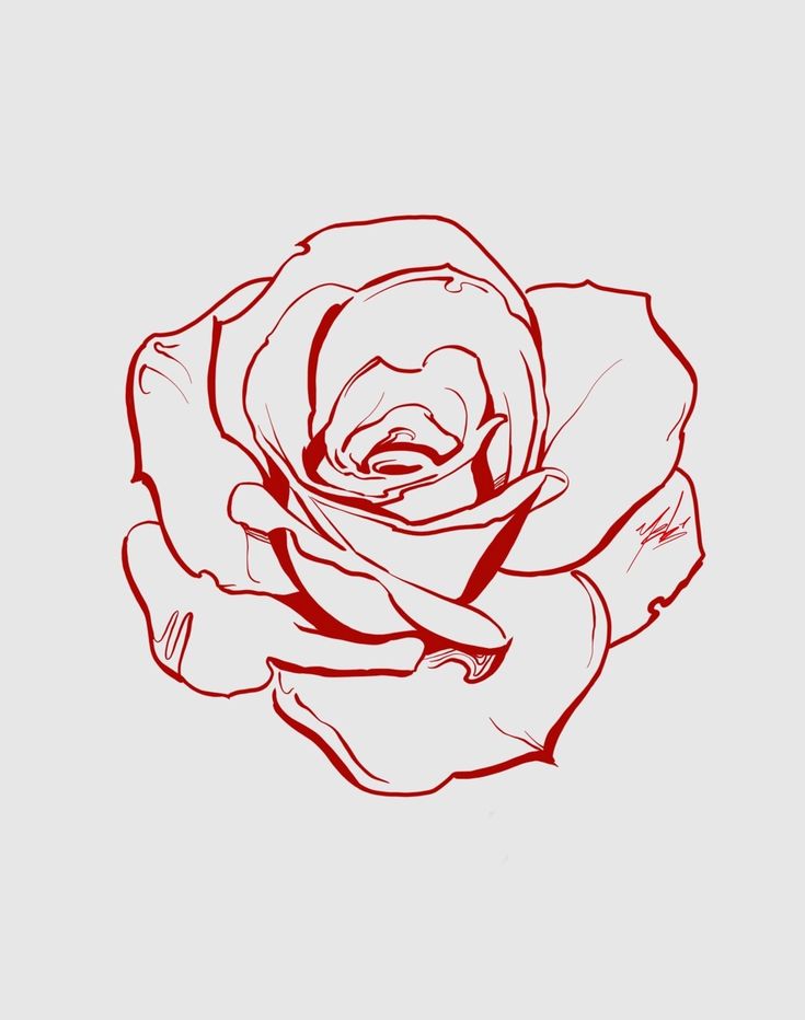 a drawing of a red rose on a white background