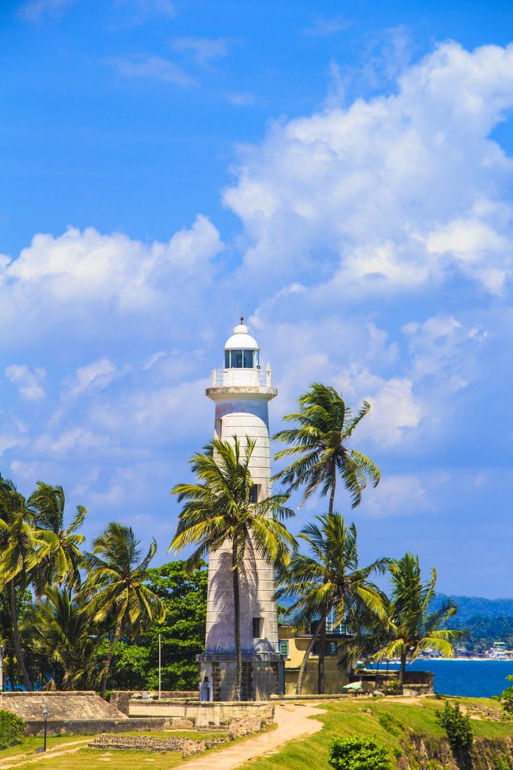 a white lighthouse surrounded by palm trees on a sunny day with the ocean in the background