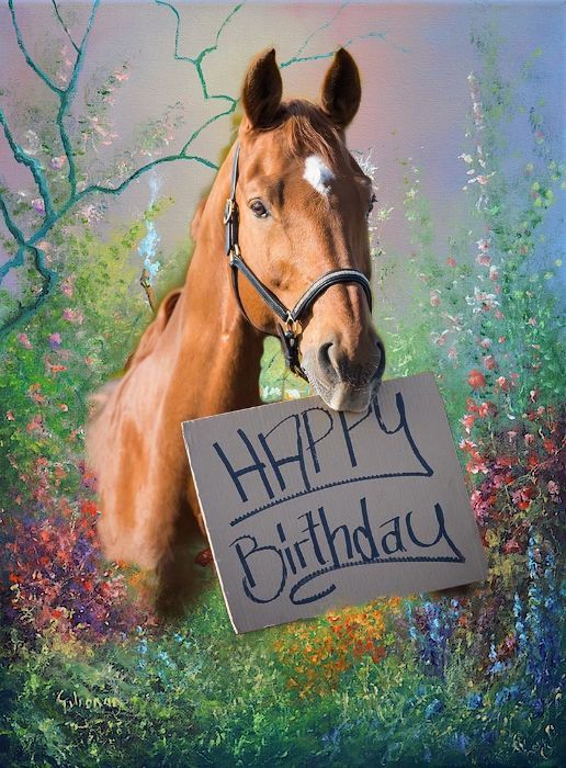 a horse holding a happy birthday sign in front of it's face with the words happy birthday written on it