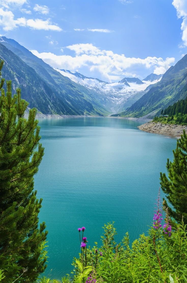 a large body of water surrounded by mountains and flowers in the foreground with blue sky