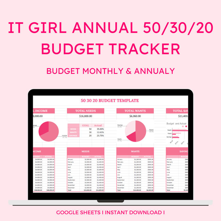 it girl annual 50 / 30 / 20 budget tracker