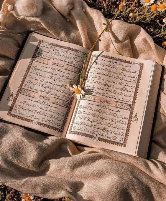 an open book laying on top of a blanket next to daisies and wildflowers