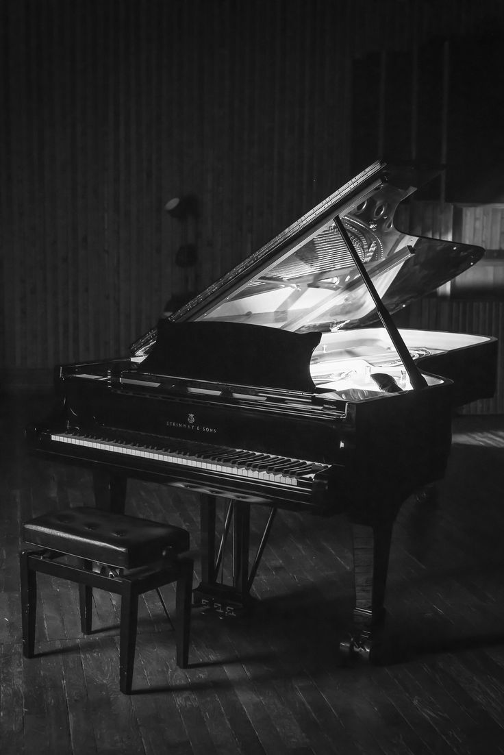 a black and white photo of a grand piano in a dark room with a bench