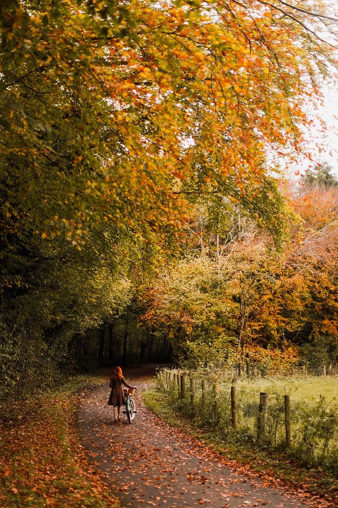 a woman riding a bike down a dirt road next to trees with orange leaves on it