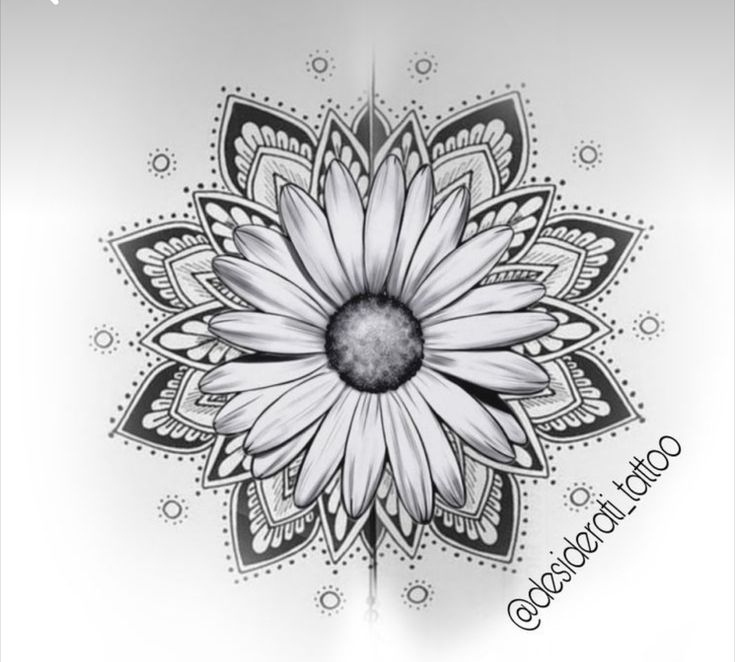 a black and white drawing of a flower