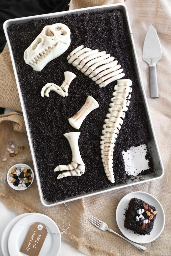 there are several different types of bones on the table and in front of them is a cake