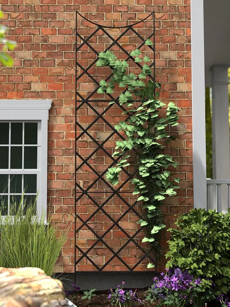 a brick building with a trellis on the side