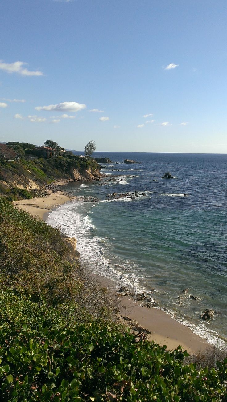 an ocean view with waves crashing on the shore and green plants growing along the shoreline