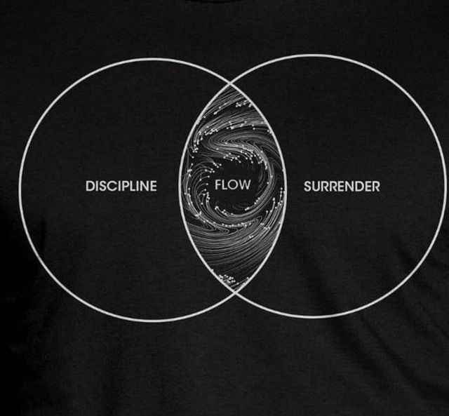 discipline flow surrender Flow State, Venn Diagram, E Mc2, Carl Jung, Shadow Work, My Opinions, Sedona, Infj, Sacred Geometry