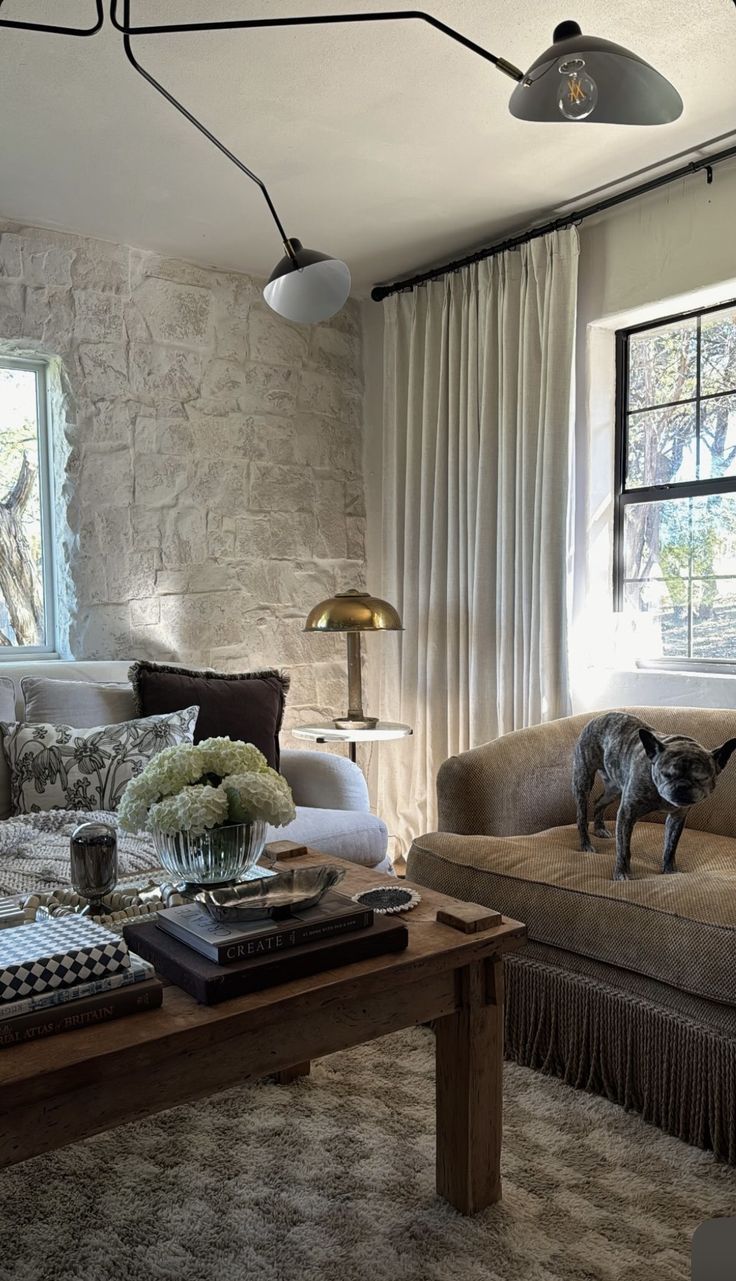 a dog is standing on the couch in this living room