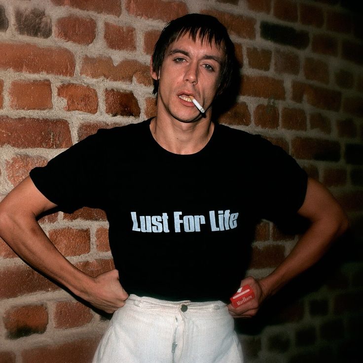 Iggy And The Stooges, Music Genius, The Stooges, Music Pics, Iggy Pop, Lust For Life, Punk Rocker, Rocker Style, Post Punk