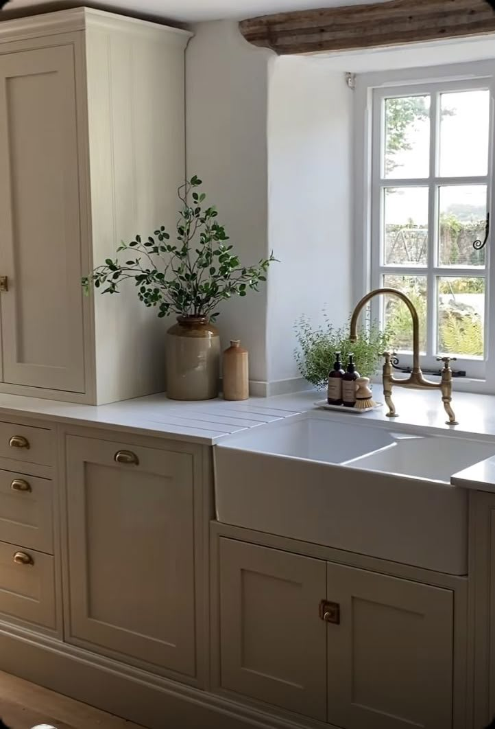 a kitchen sink sitting under a window next to a potted plant on top of a counter