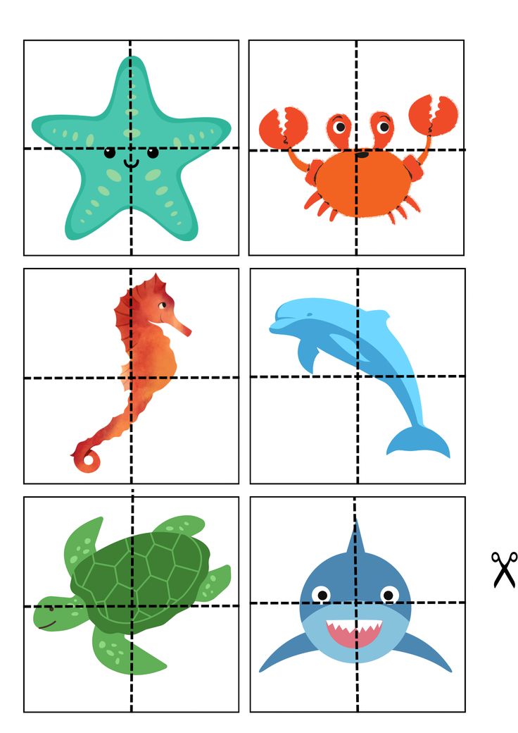 four squares with different sea animals on them