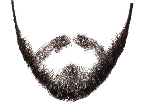 an image of a man's beard and mustache