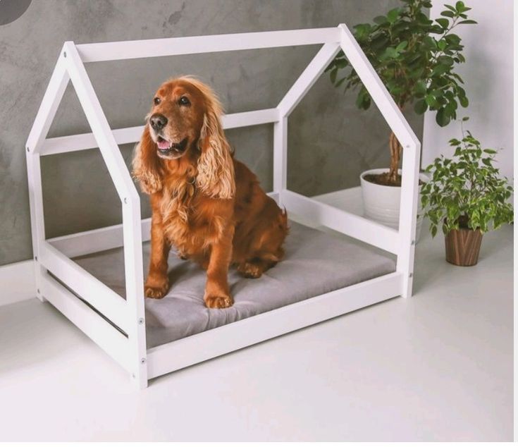 a brown dog sitting on top of a bed in front of a potted plant