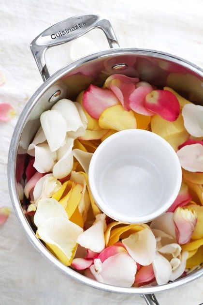 a pot filled with flowers sitting on top of a white table next to a knife