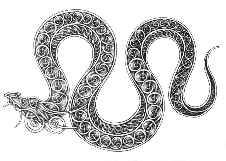 a drawing of a snake with an intricate design on it's back and neck