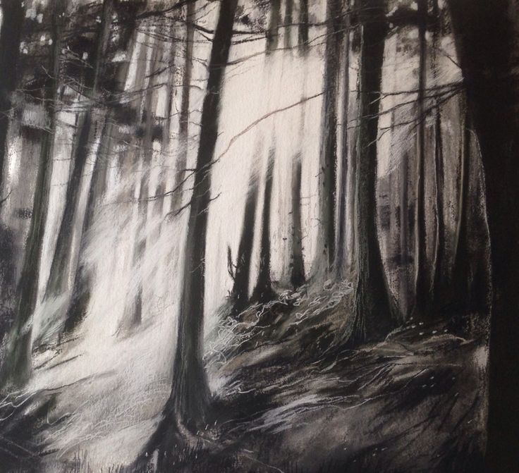 a black and white drawing of trees in the woods