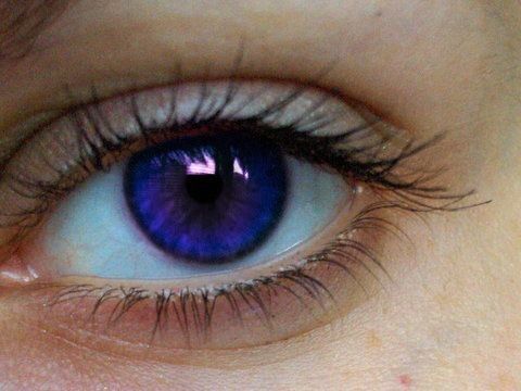 Unique Eye Color, Eye Stye Remedies, Blue Eyes Aesthetic, Rare Eye Colors, Indigo Eyes, Beautiful Eyes Color, Violet Eyes, Ange Demon, Magic Eyes