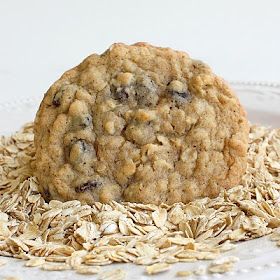 an oatmeal cookie sitting on top of a white plate